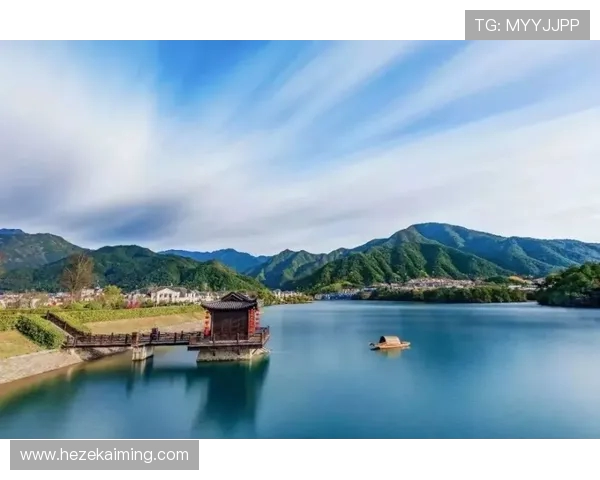 CFO与FNC的战略对比:两者在企业发展中的角色与影响力解析