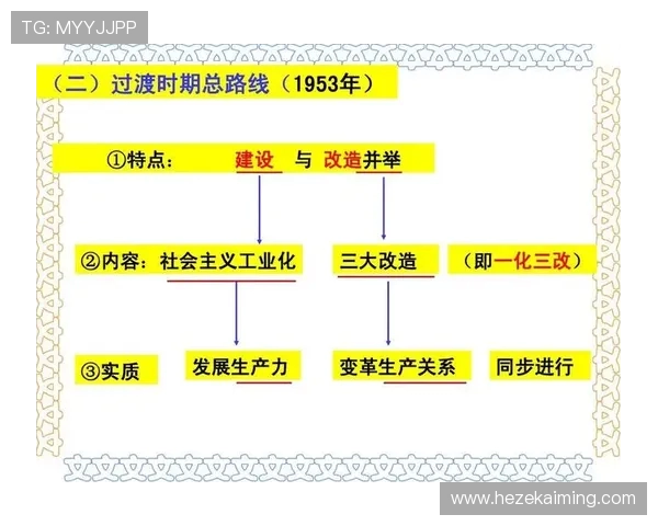 南京篮球队的控制革新探索与发展路径分析