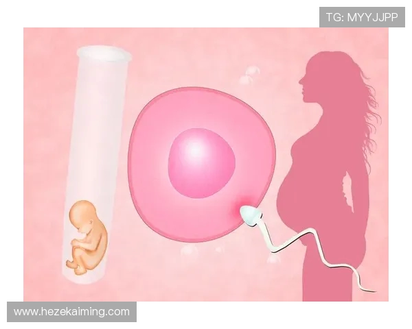 代怀博:探索现代代孕行业的机遇与挑战以及未来发展趋势 代怀博:探索现代代孕行业的机遇与挑战以及未来发展趋势